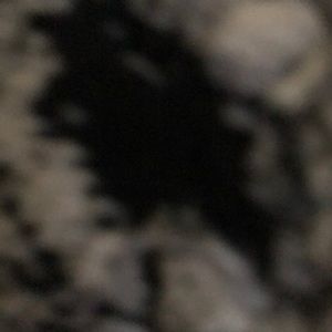 Meet your Posher, Mubarak